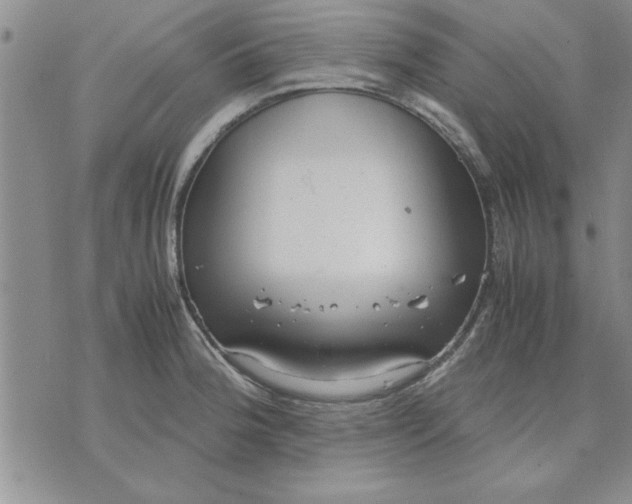 X0000071831188200607141652