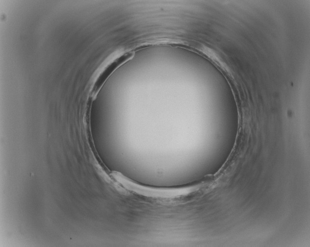 X0000071831189200607141652