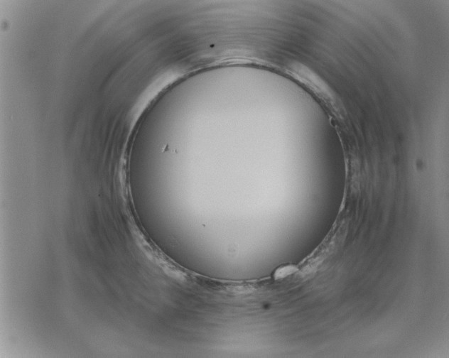 X0000071831190200607141652