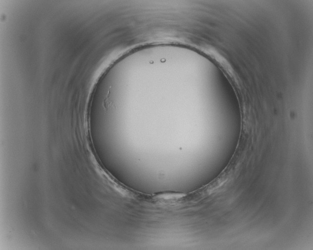 X0000071831191200607141652