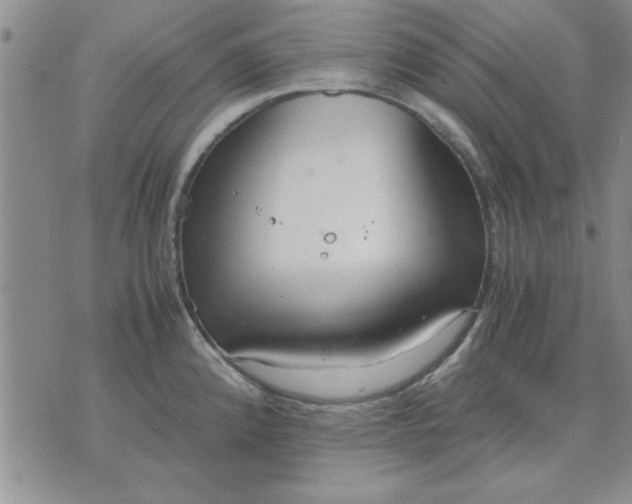 X0000071831192200607141652