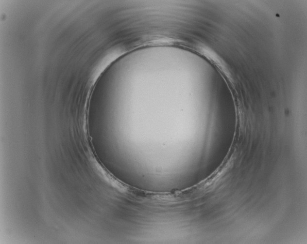 X0000071831194200607141652