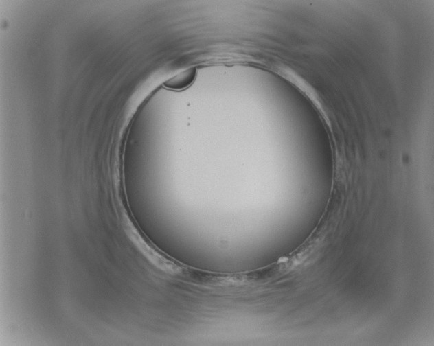 X0000071831195200607141652