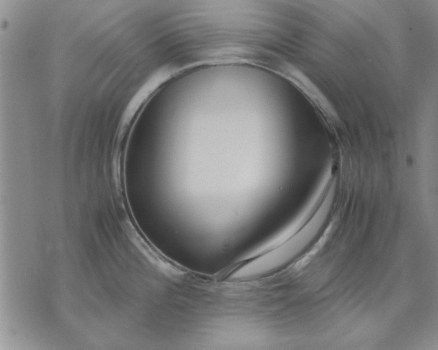 X0000071831196200607141652