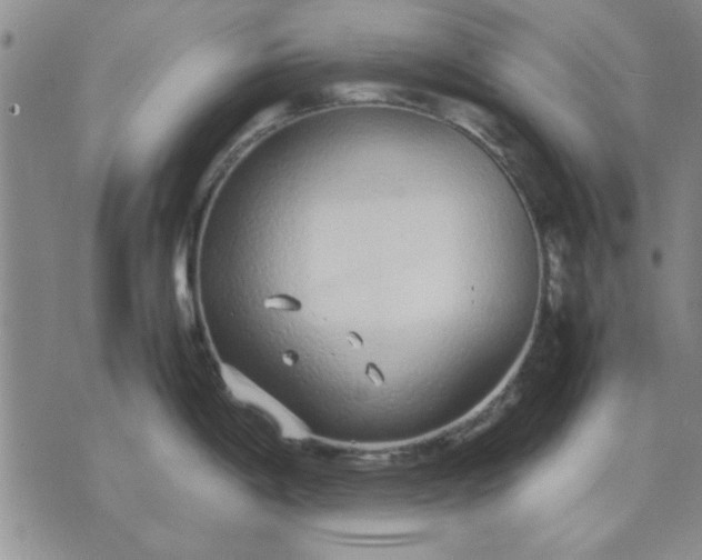 X0000071831198200607141652