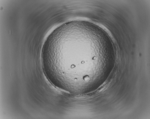 X0000071831199200607141652