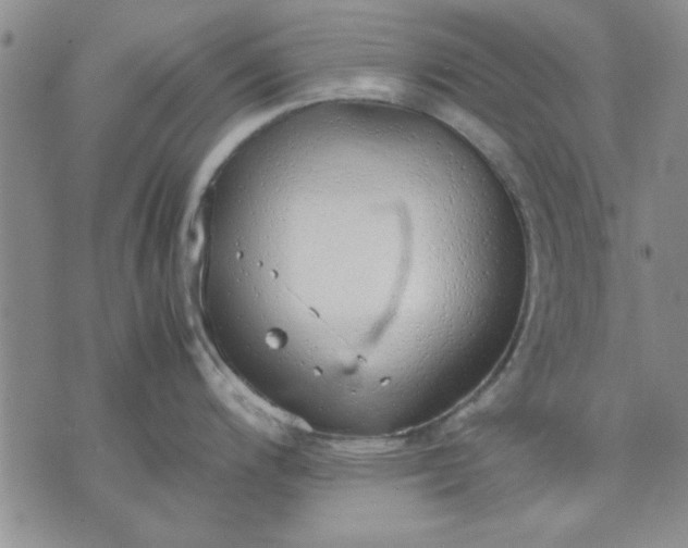 X0000071831200200607141652