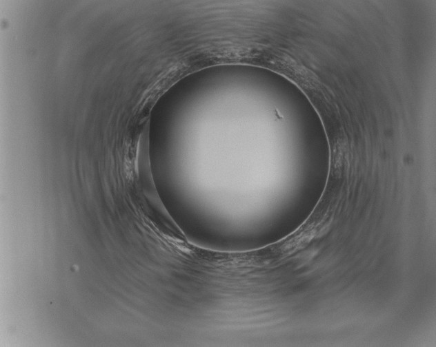 X0000071831202200607141651