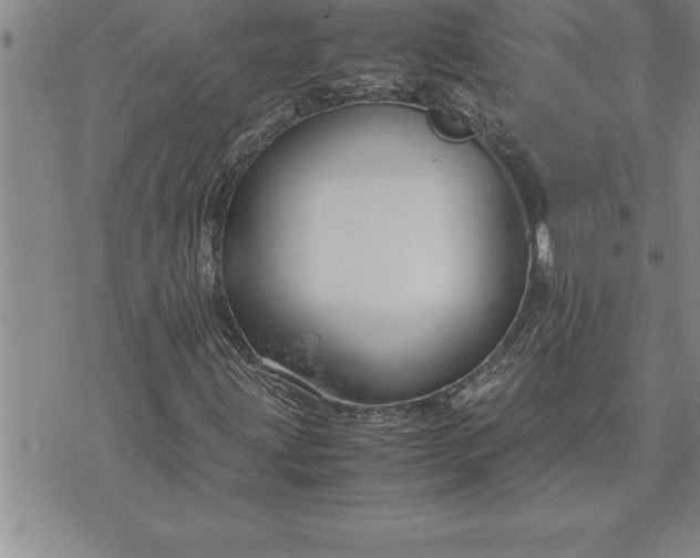 X0000071831203200607141651