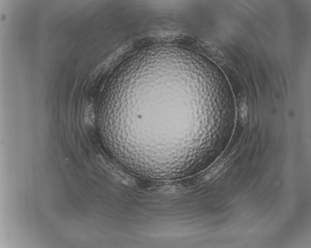 X0000071831204200607141651