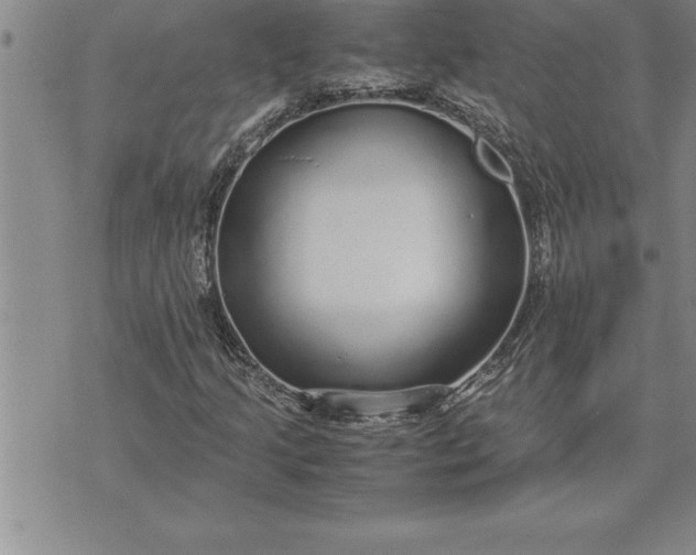 X0000071831205200607141651