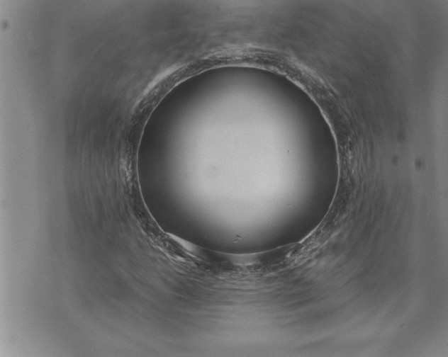 X0000071831206200607141652