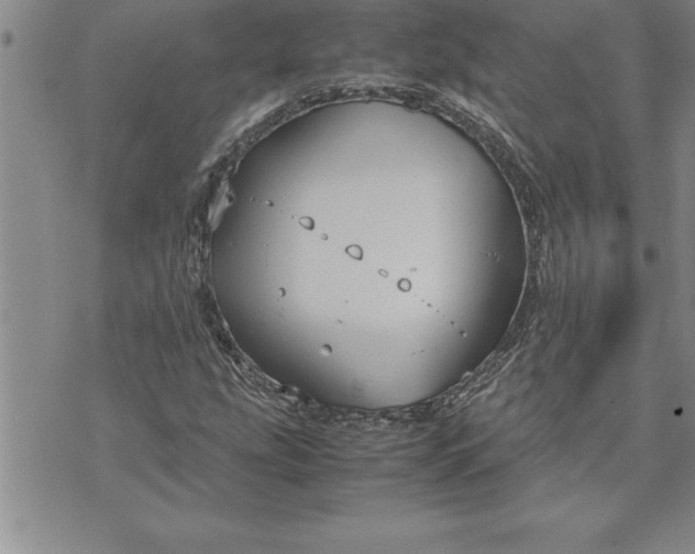 X0000071831207200607141652