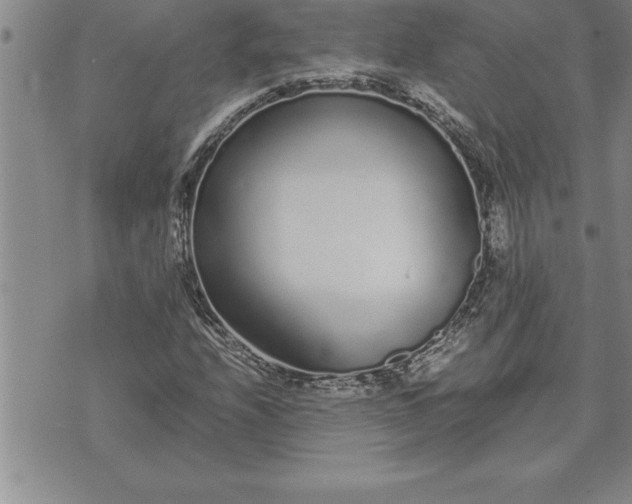 X0000071831208200607141652