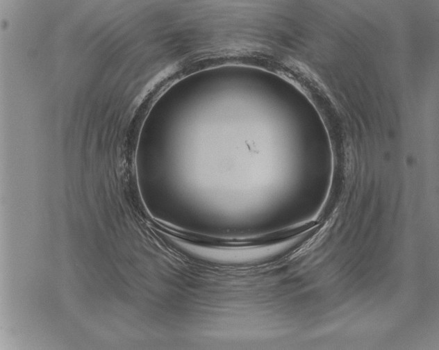 X0000071831210200607141652