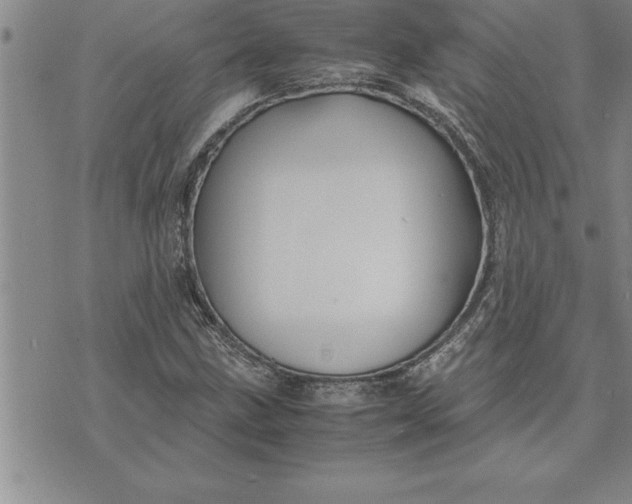 X0000071831211200607141652