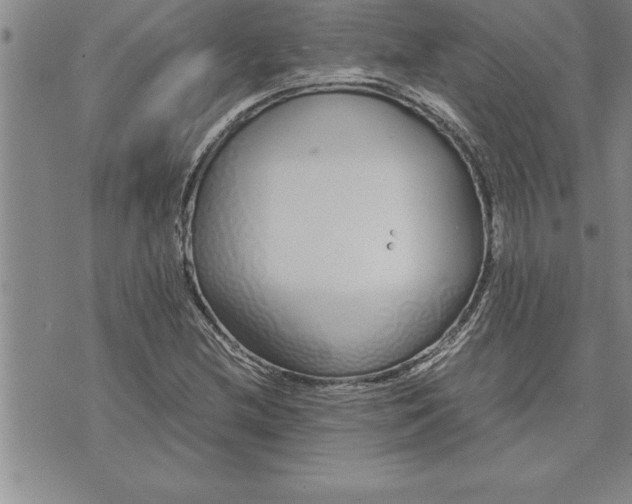 X0000071831212200607141652