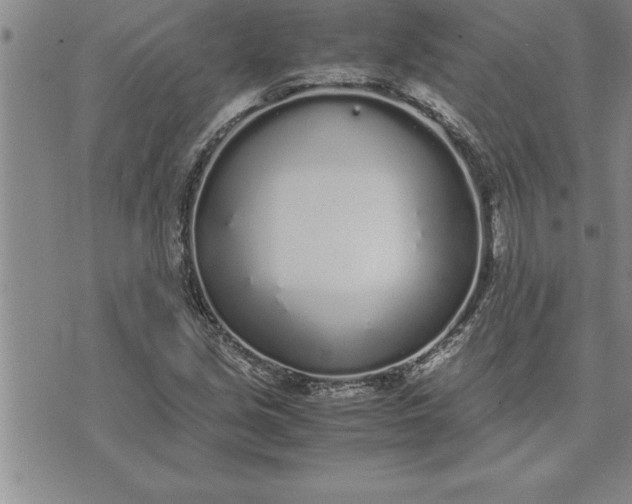 X0000071831213200607141652