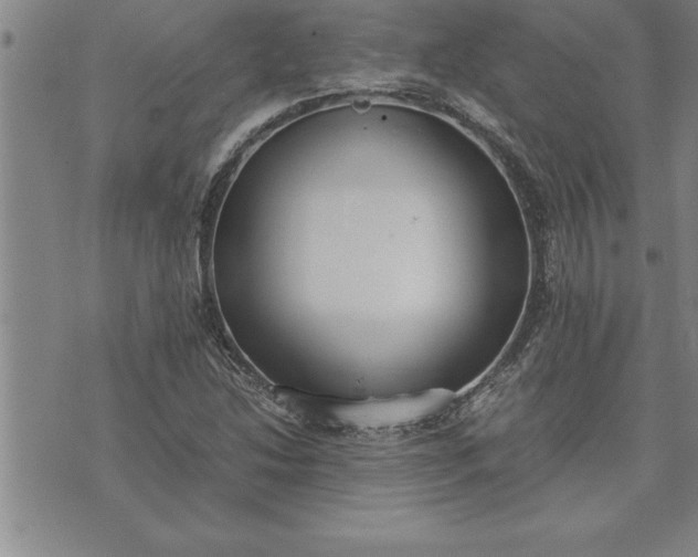 X0000071831214200607141652