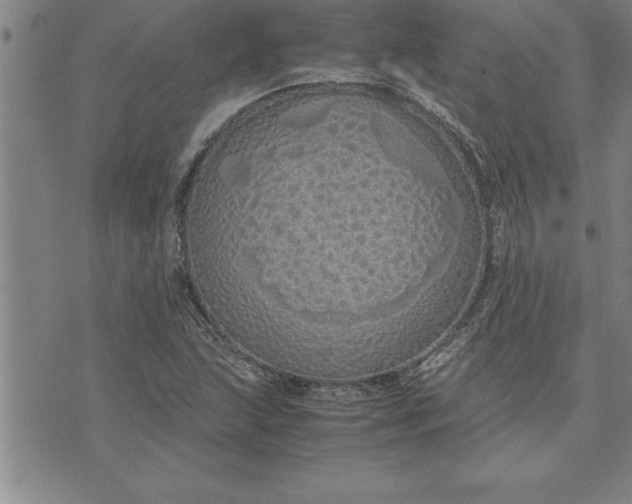 X0000071831215200607141652