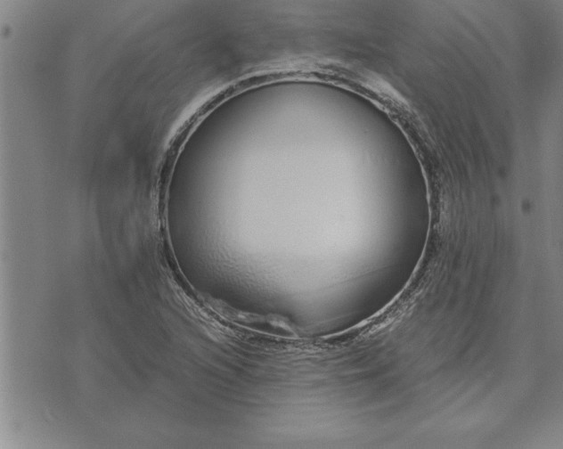 X0000071831216200607141652