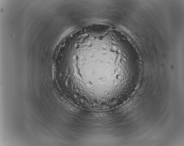 X0000071831219200607141652