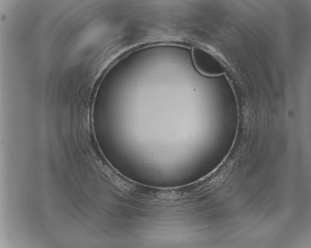 X0000071831220200607141652