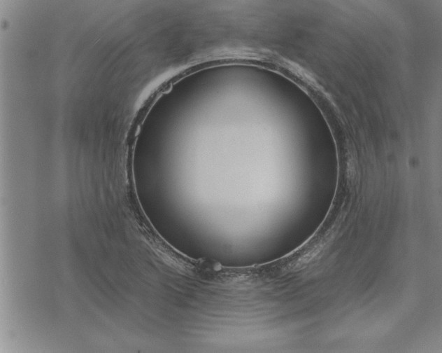 X0000071831222200607141652