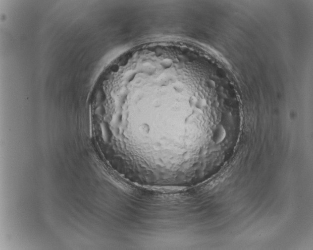 X0000071831223200607141652