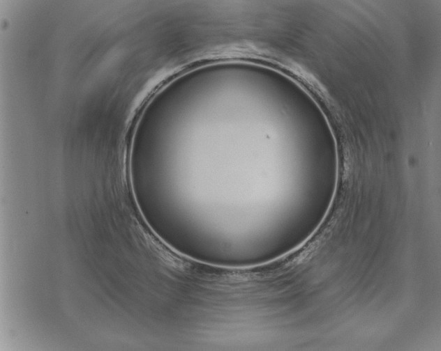 X0000071831224200607141652