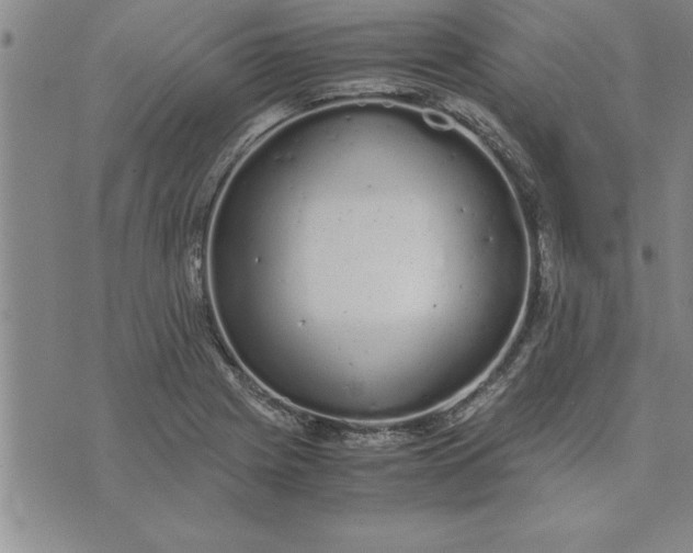 X0000071831225200607141652