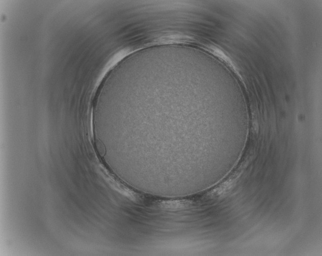 X0000071831227200607141652