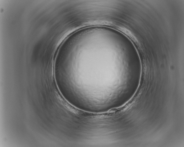 X0000071831228200607141652