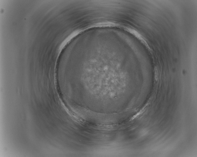 X0000071831229200607141652