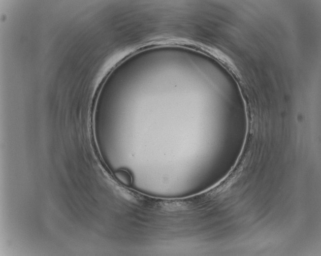 X0000071831231200607141652