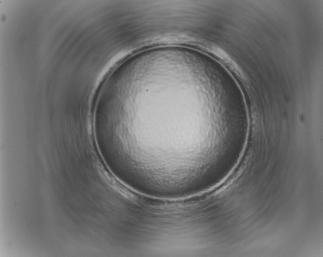 X0000071831232200607141652