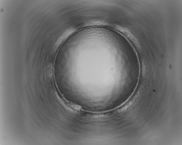 X0000071831233200607141652