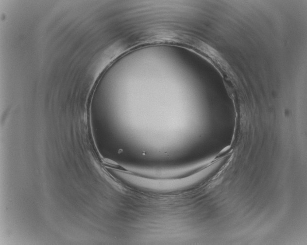 X0000071831234200607141652