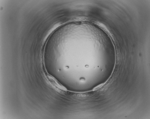 X0000071831235200607141652