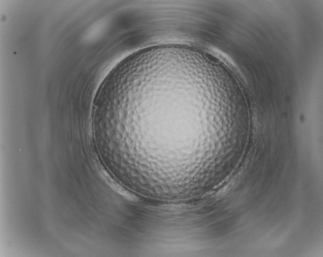 X0000071831236200607141652