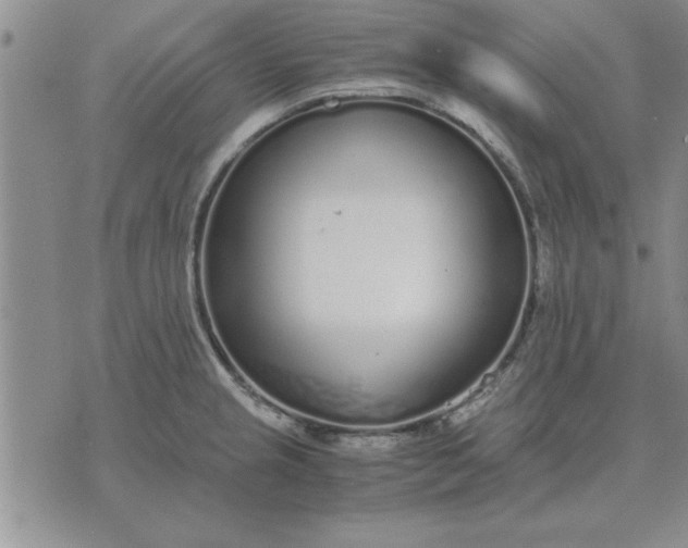 X0000071831237200607141652