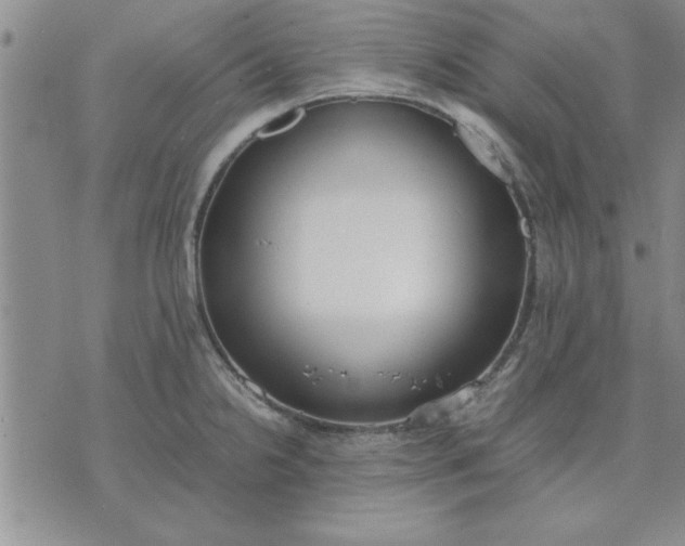 X0000071831238200607141652