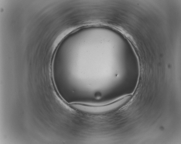 X0000071831239200607141652