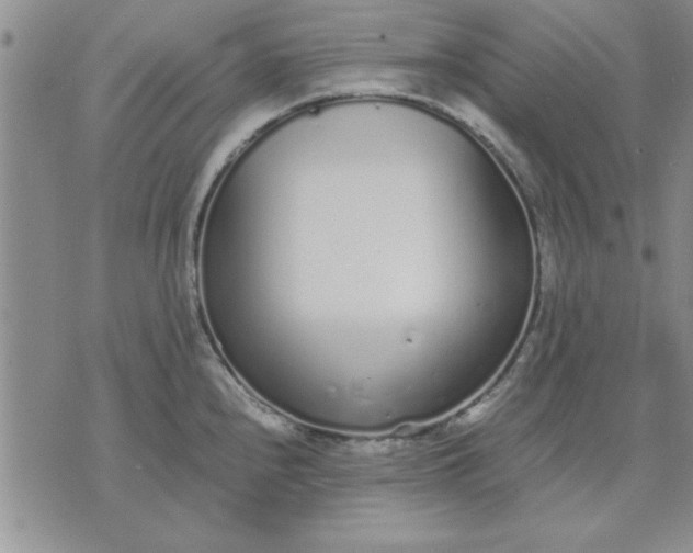 X0000071831240200607141652