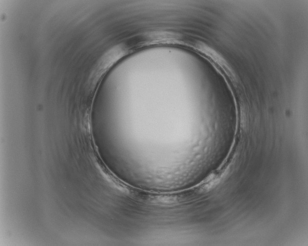 X0000071831241200607141652