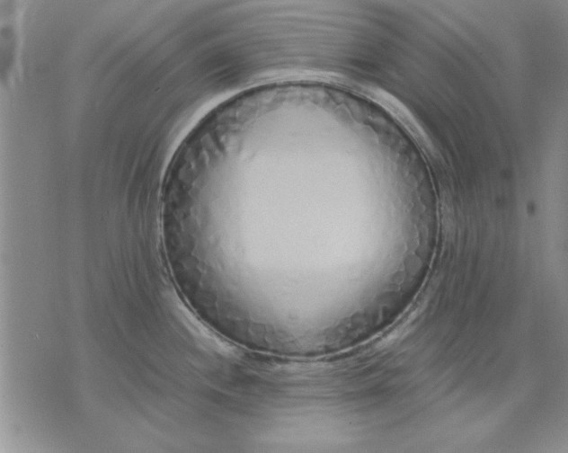 X0000071831244200607141652