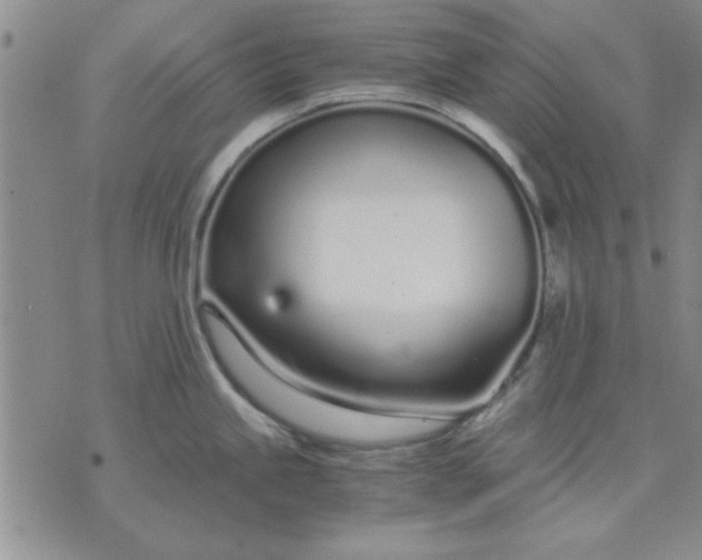 X0000071831245200607141652