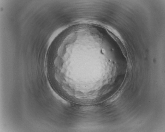 X0000071831247200607141652