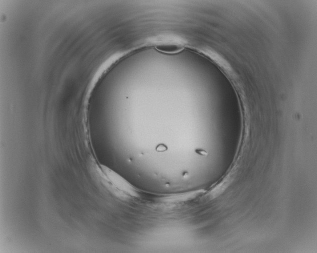 X0000071831248200607141652