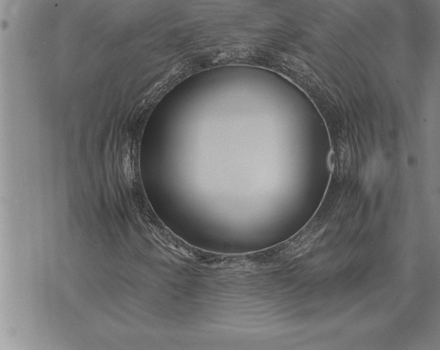 X0000071831250200607141651